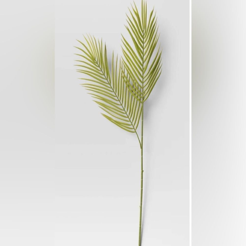 Threshold Green Palm Stems (2).  NWT